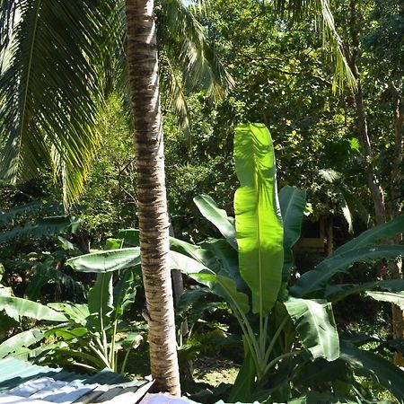 Hansa Villa ウナワトゥナ エクステリア 写真