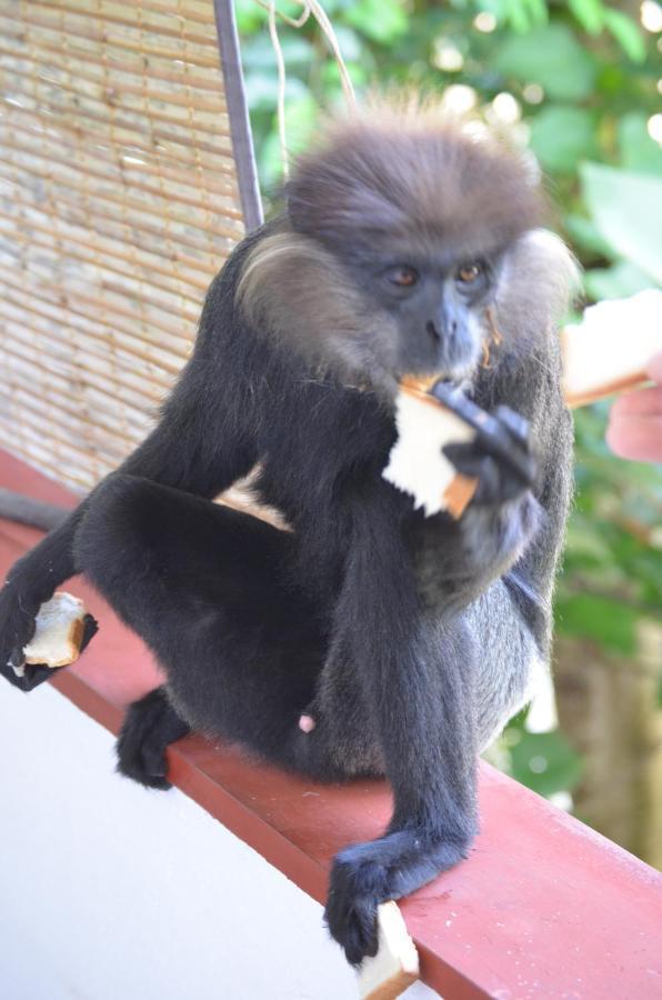 Hansa Villa ウナワトゥナ エクステリア 写真